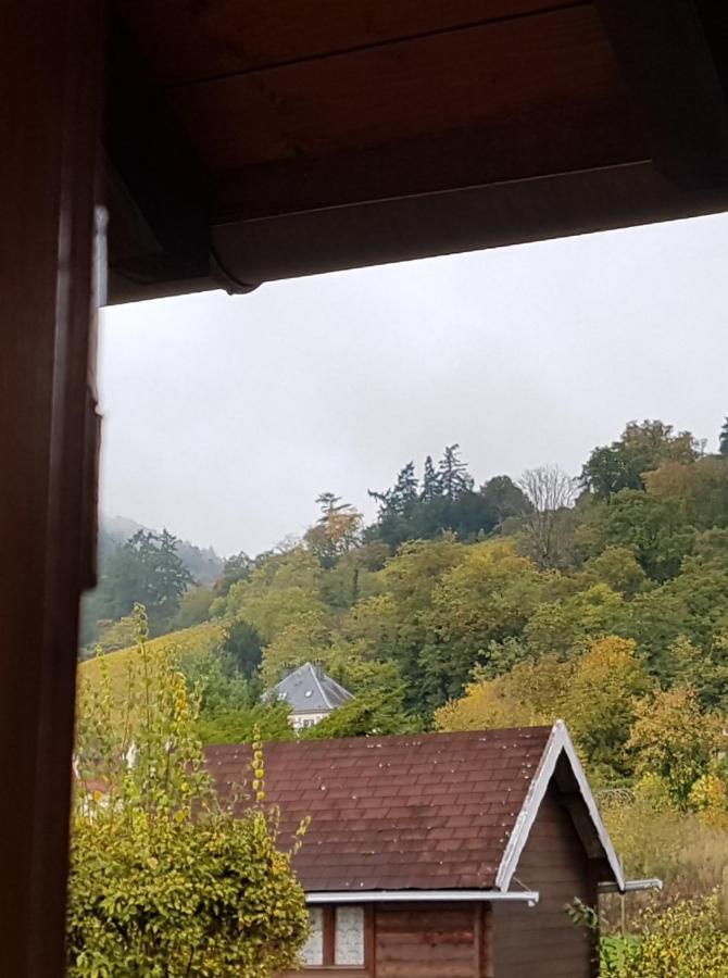La Valeriane Lägenhet Kintzheim Exteriör bild